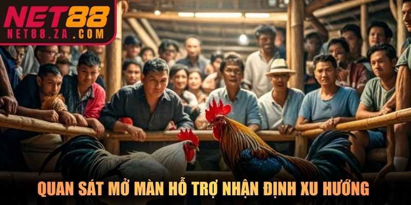 Quan sát mở màn hỗ trợ nhận định xu hướng đá gà Net88