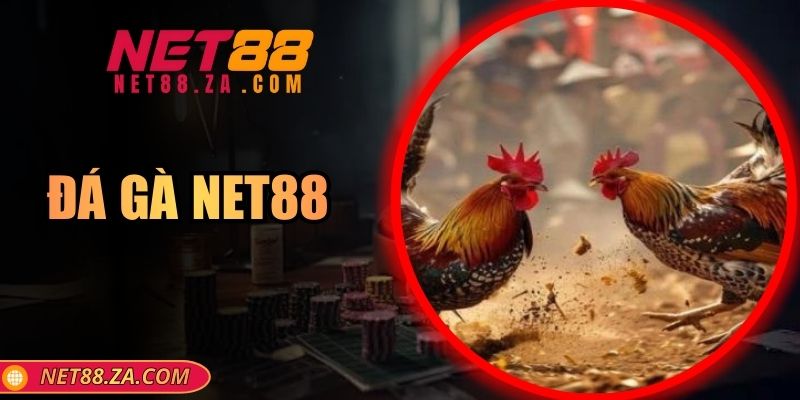 Đá Gà Net88 – Nền Tảng Theo Dõi Đối Kháng Hấp Dẫn Hàng Đầu