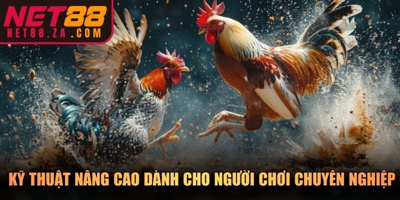 Kỹ thuật nâng cao dành cho người chơi chuyên nghiệp